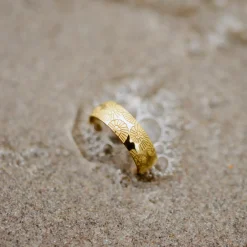 Ammonite Shell Ring Silber