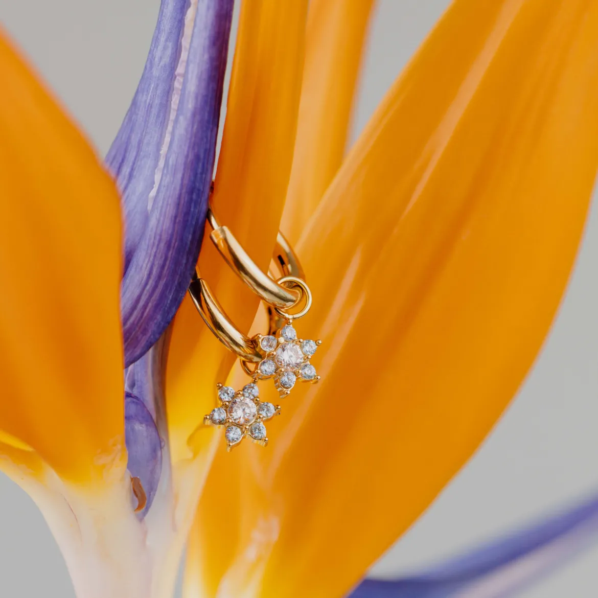 Blue Petal Hoop Set Small Roségold