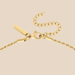Blush Quartz Bundle Gold