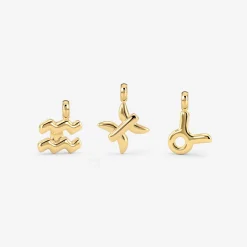 Bubble Zodiac Necklace Charms