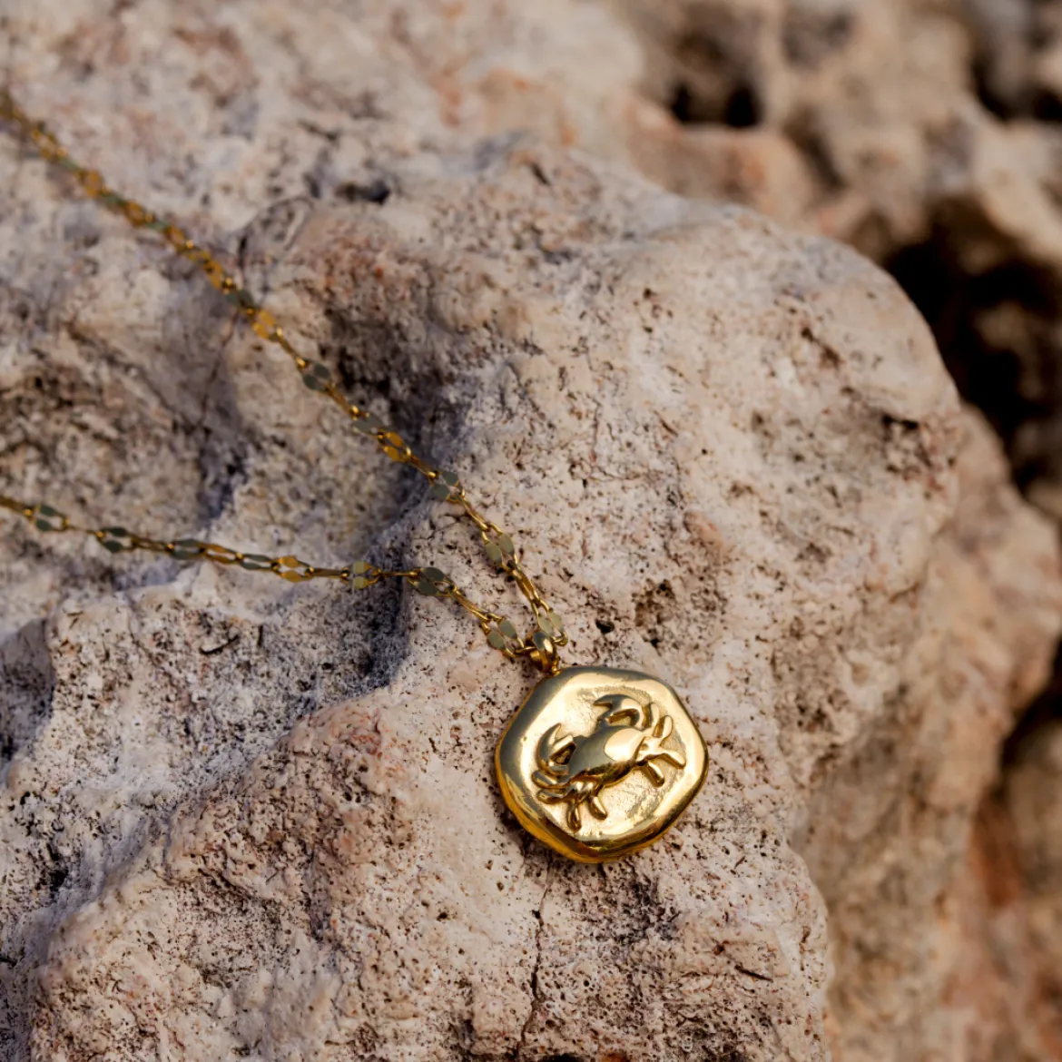Crab Chaser Necklace Silber