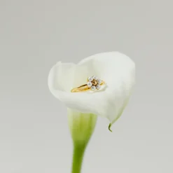 Daisy Ring Gold