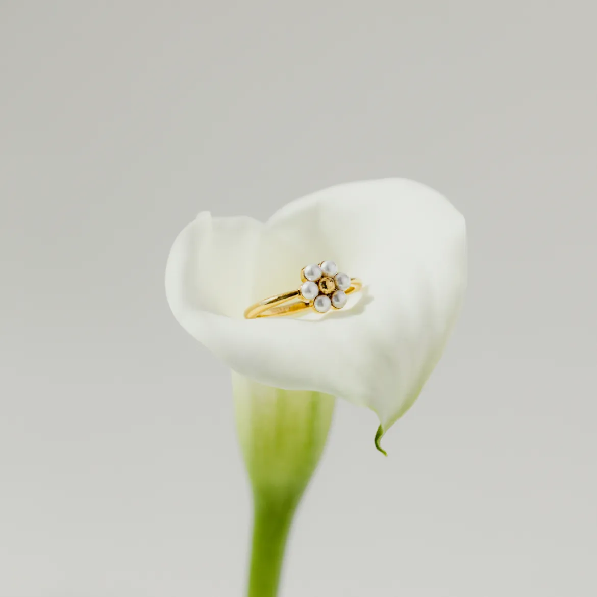 Daisy Ring Silber
