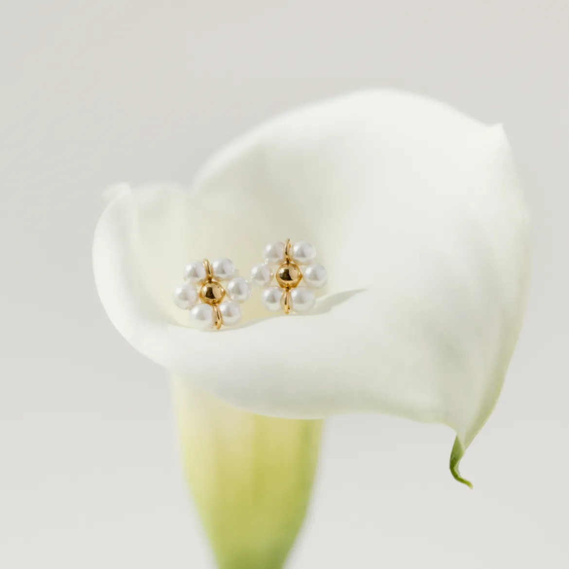 Daisy Studs Gold
