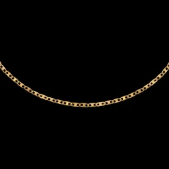 Delicate Choker Gold