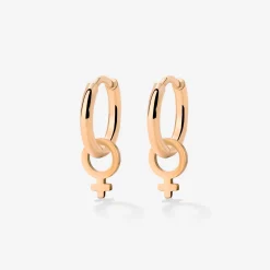 Female Icon Hoop Set Small Roségold