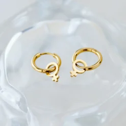 Female Icon Hoop Set Small Roségold