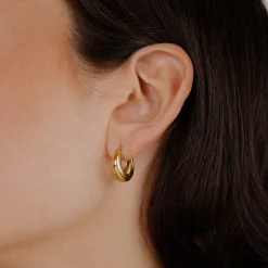 Gilded Curve Hoops Gold