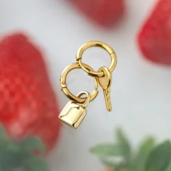 Lock in Hoop Set Small Roségold
