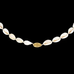 One in a Shell Choker Gold