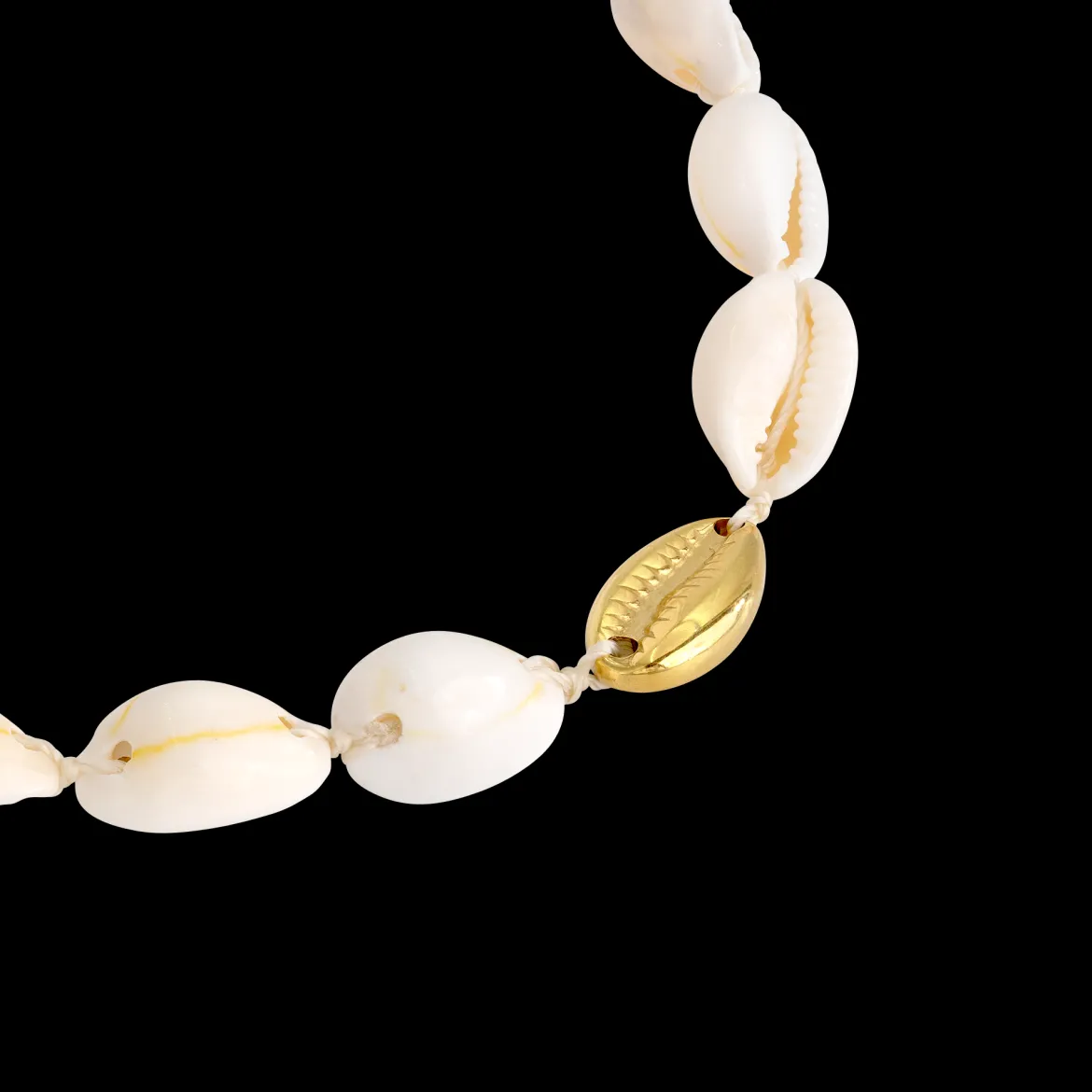 One in a Shell Choker Gold