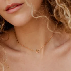 Sea Star Choker Roségold