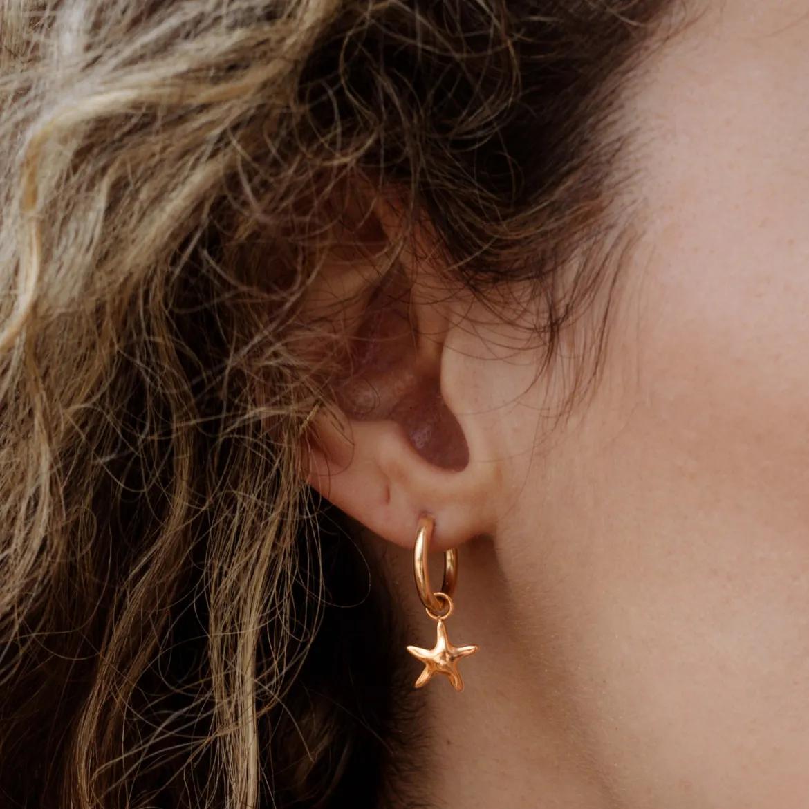 Sea Star Hoop Set Small Roségold