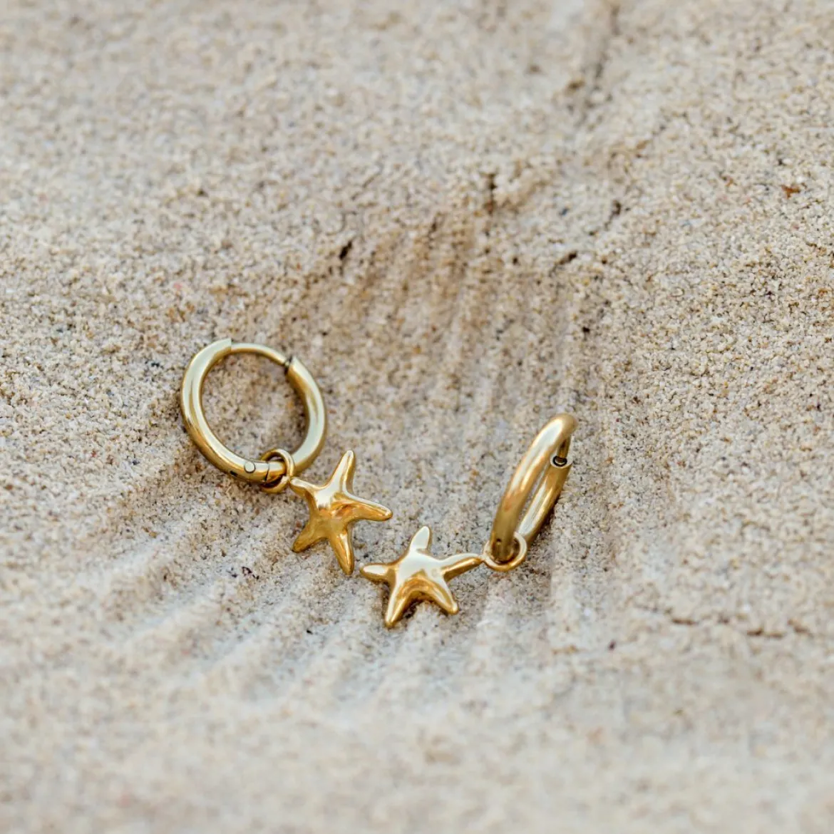 Sea Star Hoop Set Small Roségold