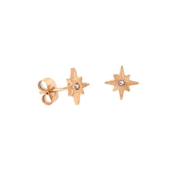 Shiny Anna Stud Earrings Roségold