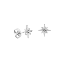 Shiny Anna Stud Earrings Silber