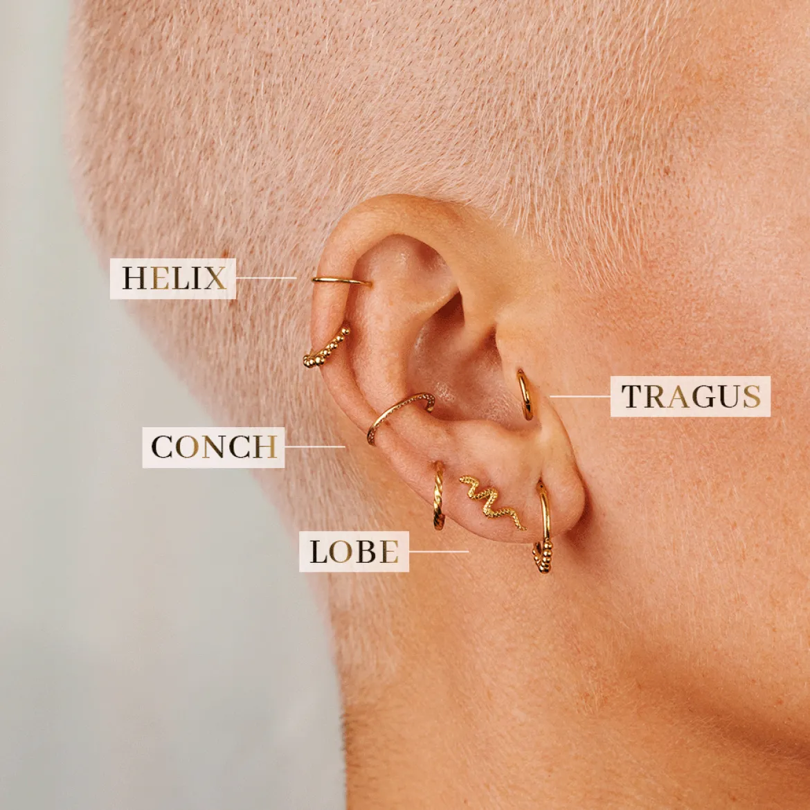 Snake Piercing Gold