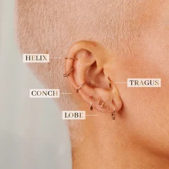 Snake Piercing Roségold