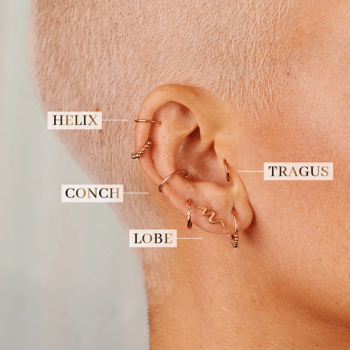 Snake Piercing Roségold