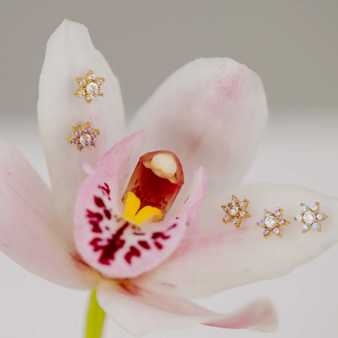 Sparkling Blue Petal Studs Silber