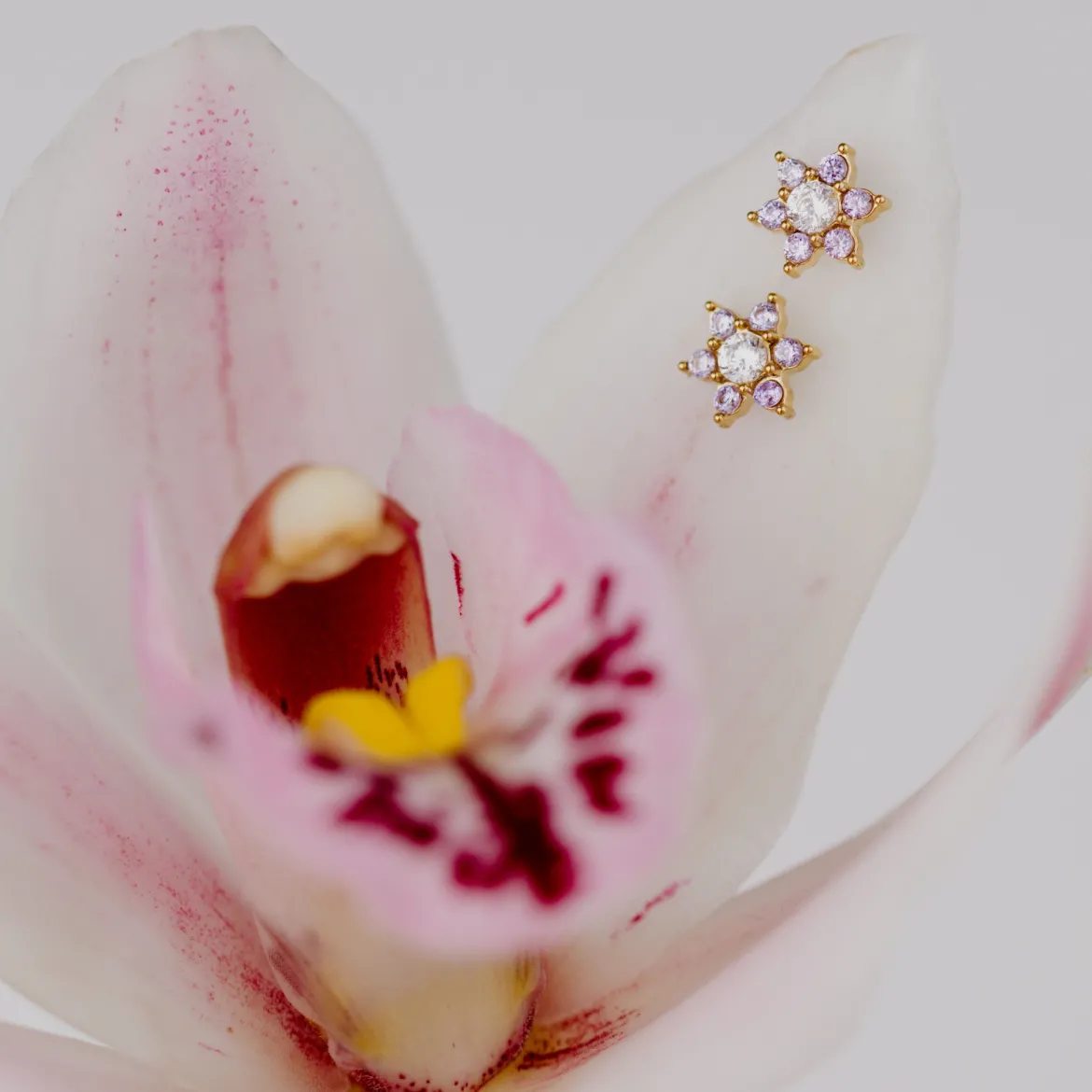 Sparkling Purple Petal Studs Roségold