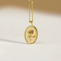 Tale as old as time Necklace Roségold