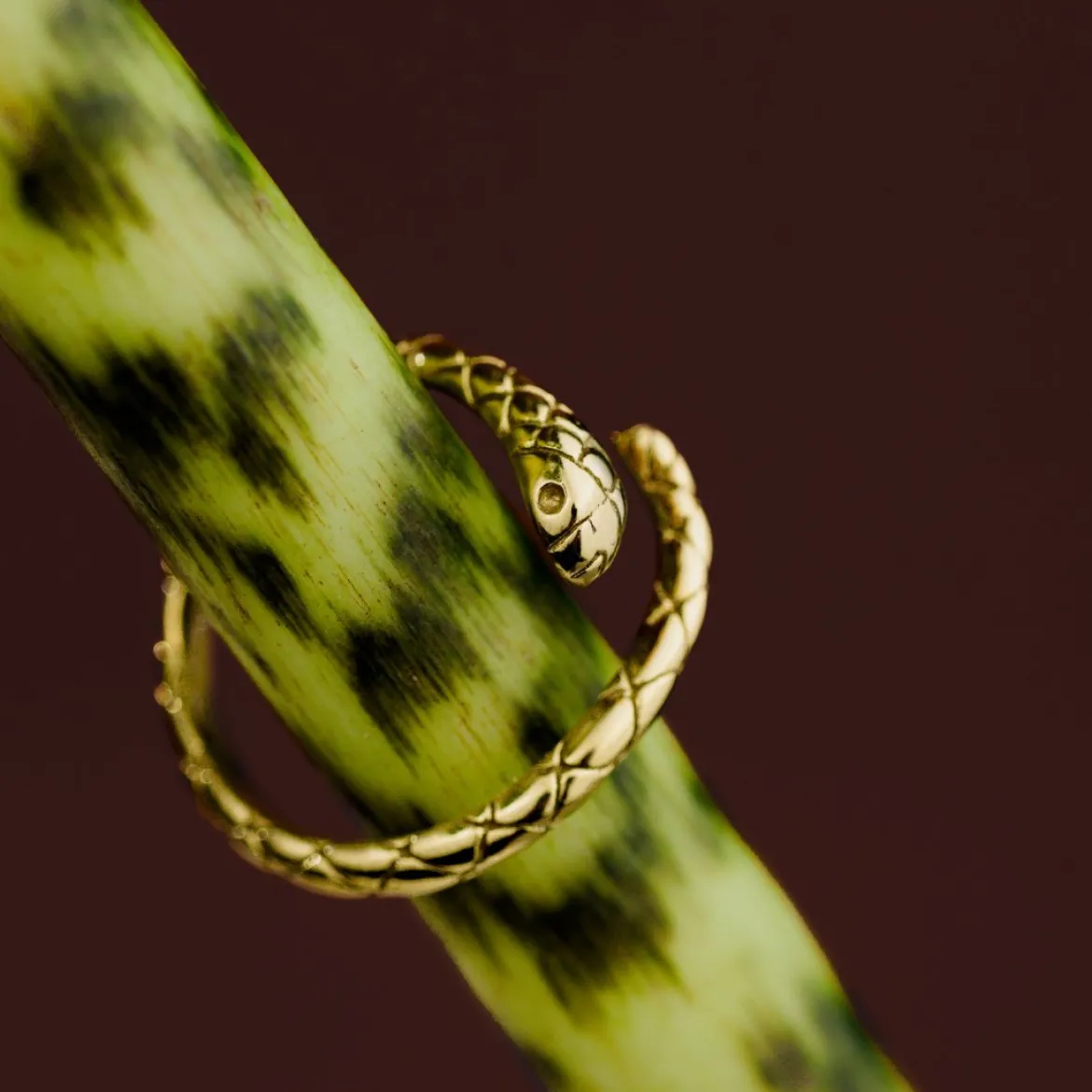 Vipers Ring Silber