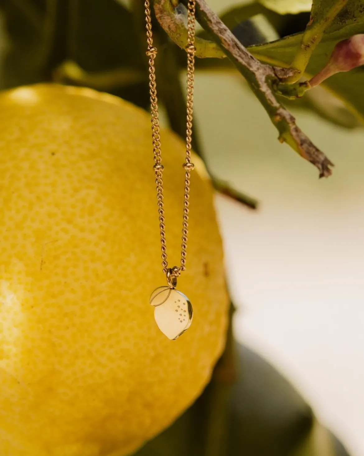 When Life gives you Lemons Necklace Gold