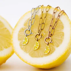 Zesty Oval Links Necklace Set Roségold