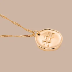 Zodiac Necklace – Aquarius / Wassermann Roségold