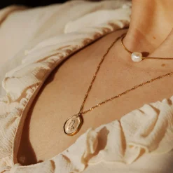 Zodiac Necklace Roségold - Steinbock
