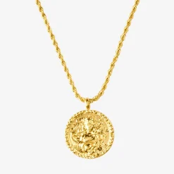 Zodiac Sign Necklace Gold - Steinbock