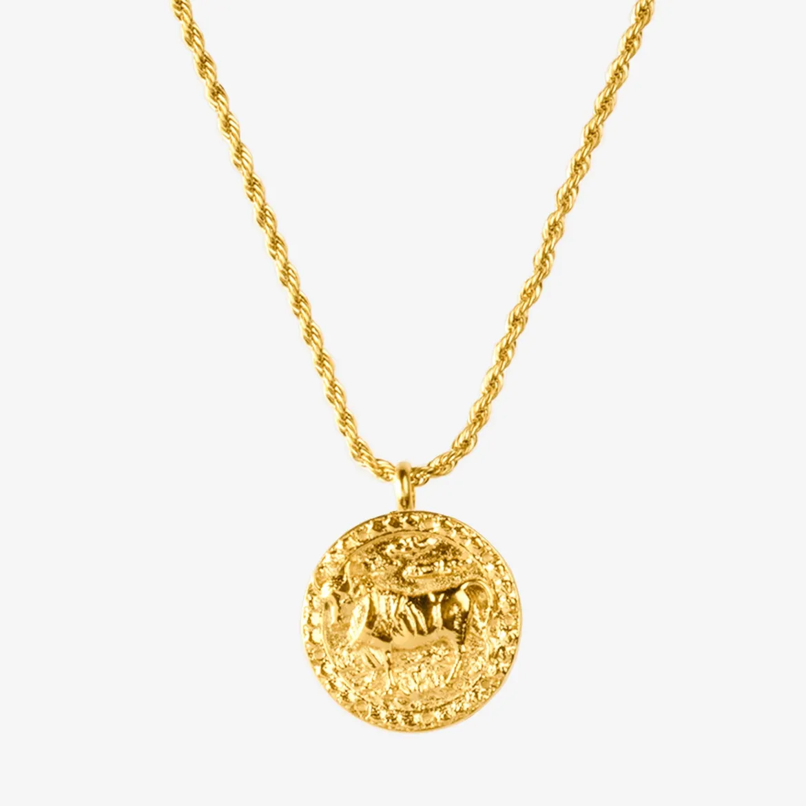 Zodiac Sign Necklace Gold - Steinbock