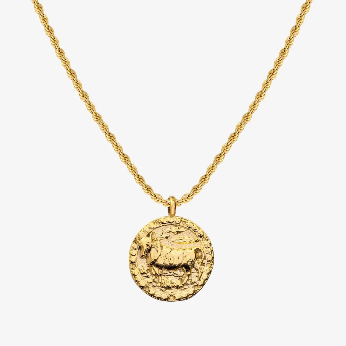 Zodiac Sign Necklace Gold - Steinbock