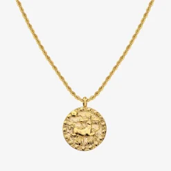 Zodiac Sign Necklace Gold - Steinbock