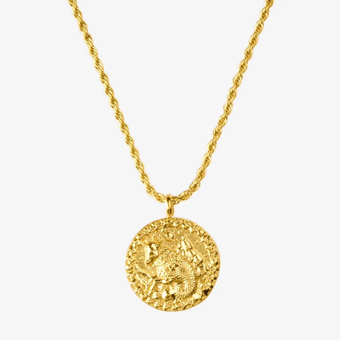 Zodiac Sign Necklace Gold - Steinbock