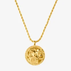 Zodiac Sign Necklace Gold - Steinbock