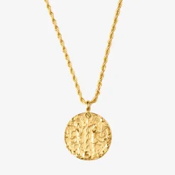 Zodiac Sign Necklace Gold - Steinbock