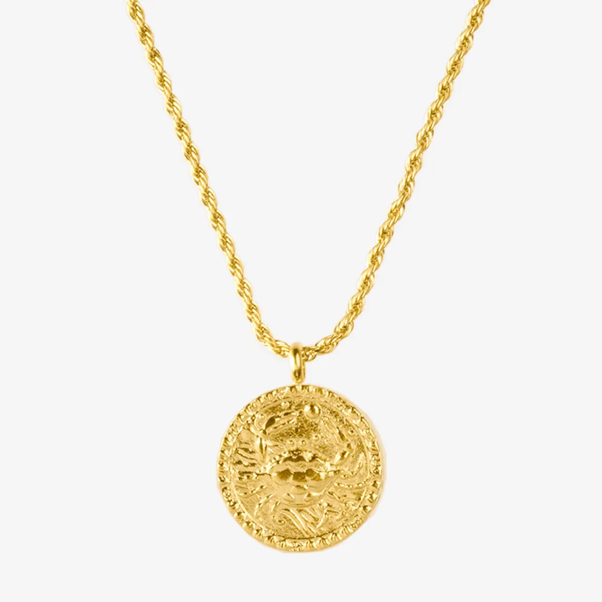 Zodiac Sign Necklace Gold - Steinbock