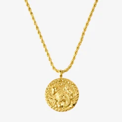 Zodiac Sign Necklace Gold - Steinbock