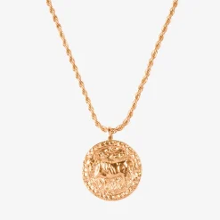Zodiac Sign Necklace Roségold - Steinbock
