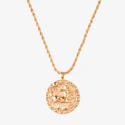 Zodiac Sign Necklace Roségold - Steinbock