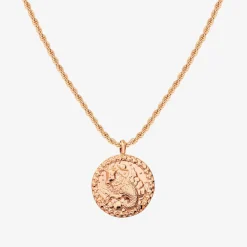 Zodiac Sign Necklace Roségold - Steinbock