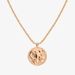 Zodiac Sign Necklace Roségold - Steinbock