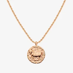 Zodiac Sign Necklace Roségold - Steinbock