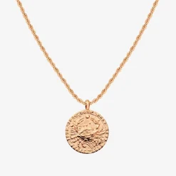 Zodiac Sign Necklace Roségold - Steinbock