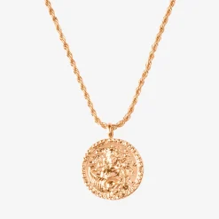Zodiac Sign Necklace Roségold - Steinbock