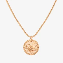 Zodiac Sign Necklace Roségold - Steinbock