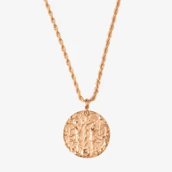 Zodiac Sign Necklace Roségold - Steinbock