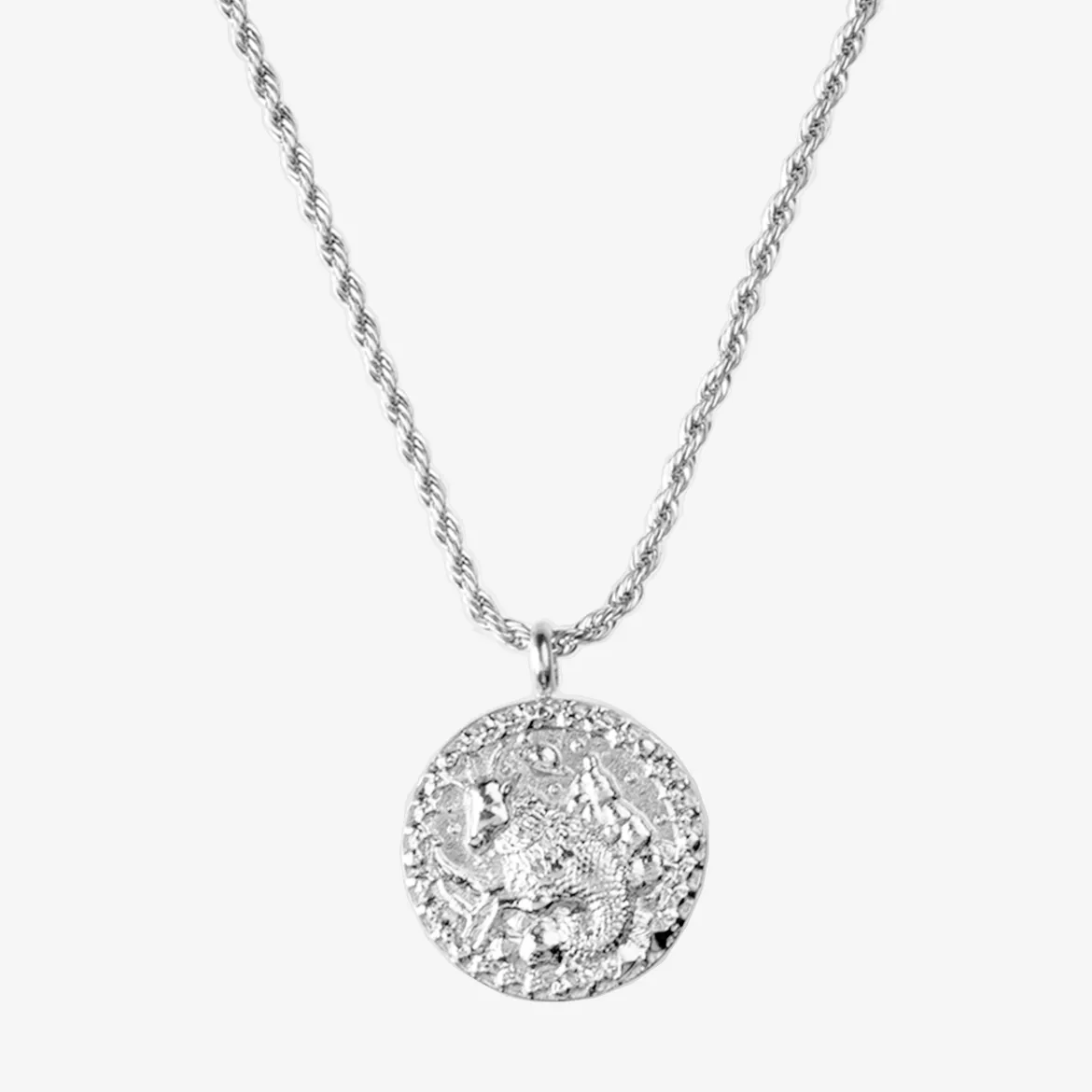 Zodiac Sign Necklace Silber - Steinbock